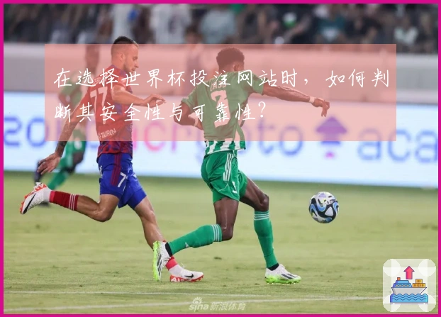 在选择世界杯投注网站时，如何判断其安全性与可靠性？