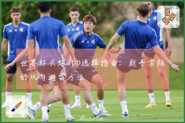 世界杯买球app选择指南：新手常踩的坑与避雷方法
