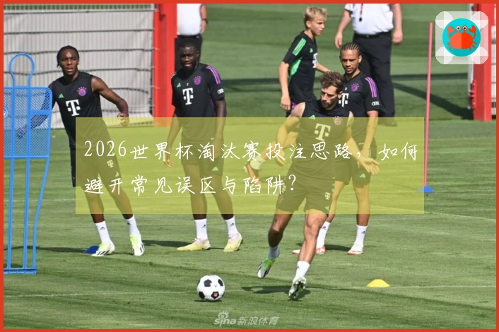 2026世界杯淘汰赛投注思路，如何避开常见误区与陷阱？