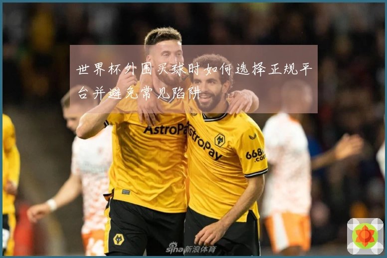 世界杯外围买球时如何选择正规平台并避免常见陷阱