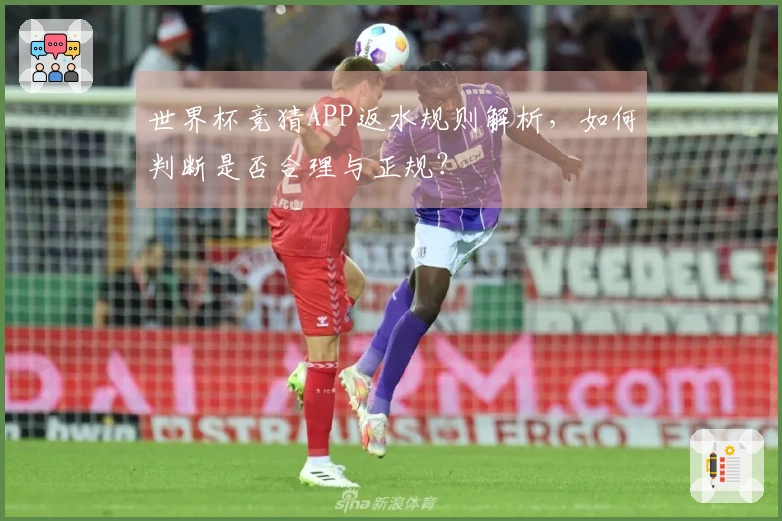 世界杯竞猜APP返水规则解析，如何判断是否合理与正规？