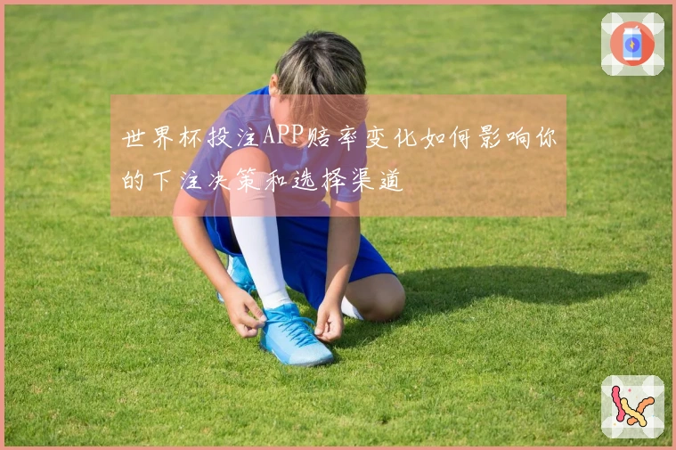 世界杯投注APP赔率变化如何影响你的下注决策和选择渠道