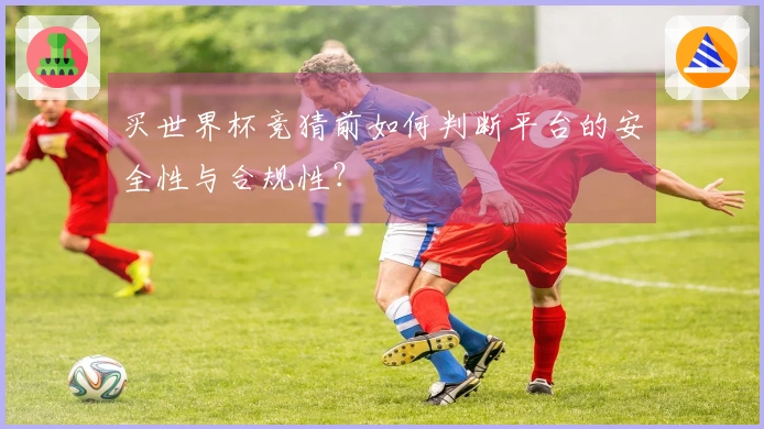 买世界杯竞猜前如何判断平台的安全性与合规性？